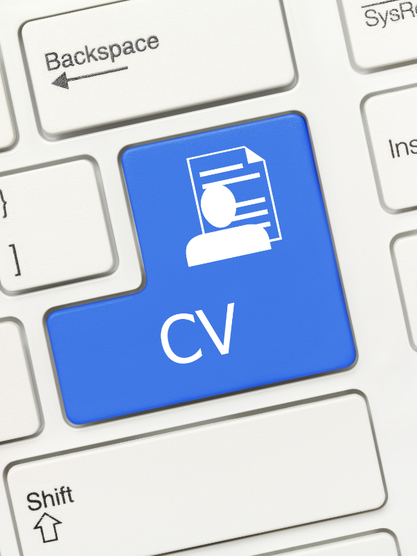 Professional Blank CV Template for Job Seekers